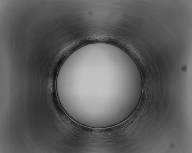 X0000100770640200806190933