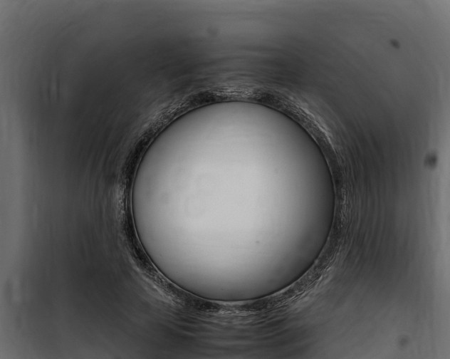 X0000100770641200806190934