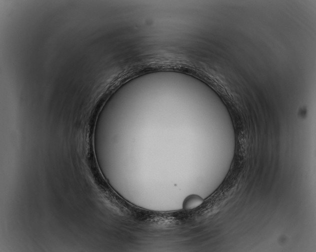 X0000100770642200806190934