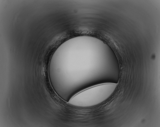 X0000100770643200806190934