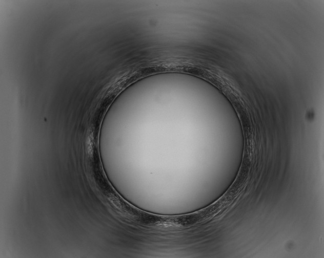 X0000100770644200806190934