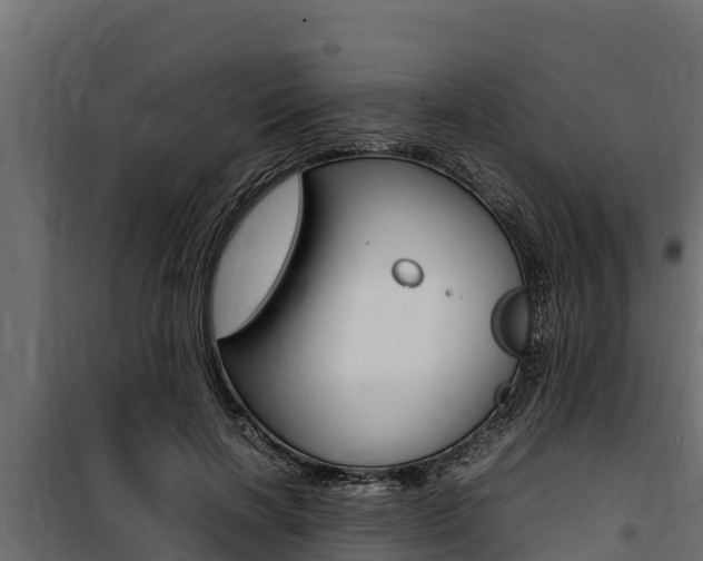 X0000100770646200806190934