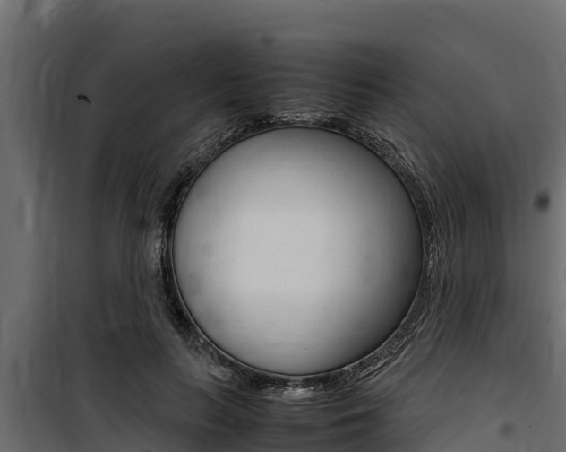 X0000100770647200806190934