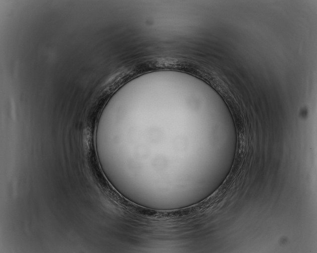 X0000100770648200806190934