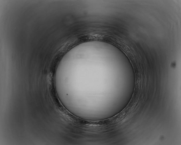 X0000100770649200806190934