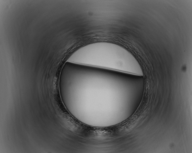 X0000100770650200806190934