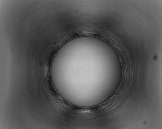 X0000100770651200806190934