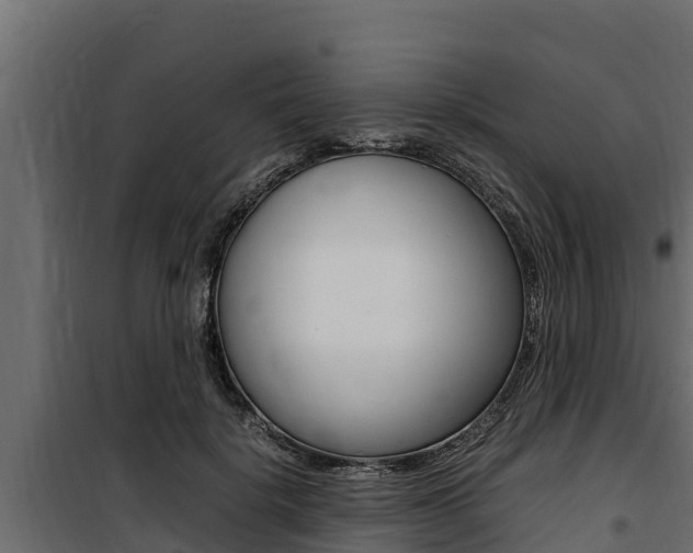 X0000100770652200806190934