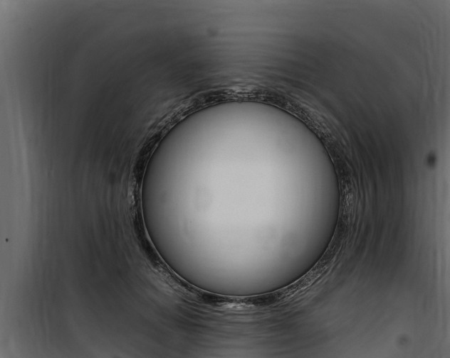 X0000100770654200806190934