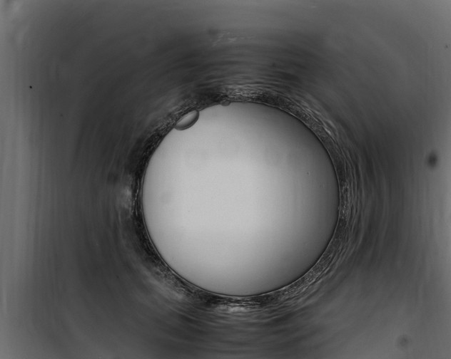 X0000100770655200806190934