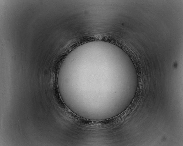 X0000100770656200806190934