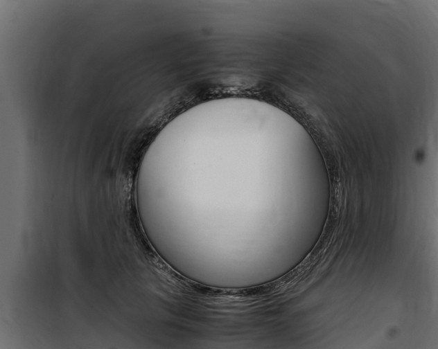 X0000100770657200806190934