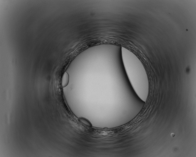 X0000100770663200806190934