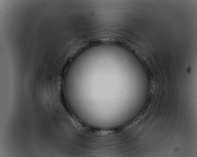 X0000100770664200806190934