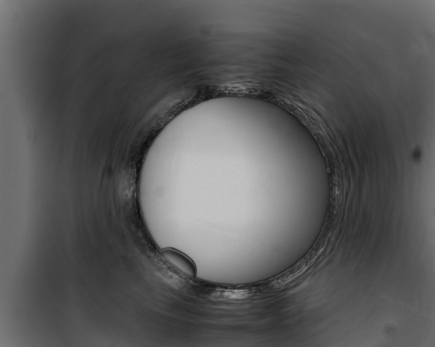 X0000100770665200806190934
