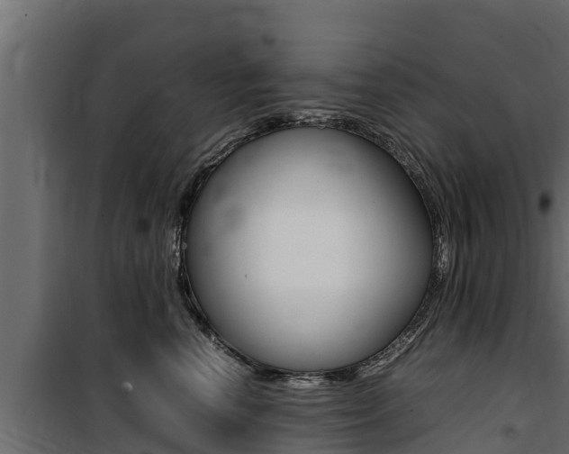 X0000100770666200806190934