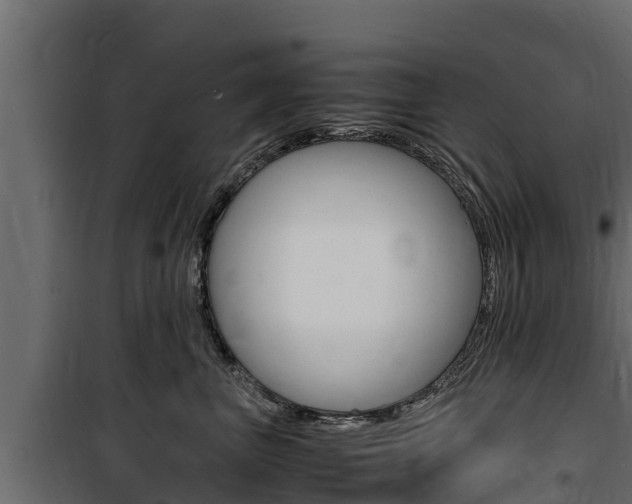 X0000100770667200806190934