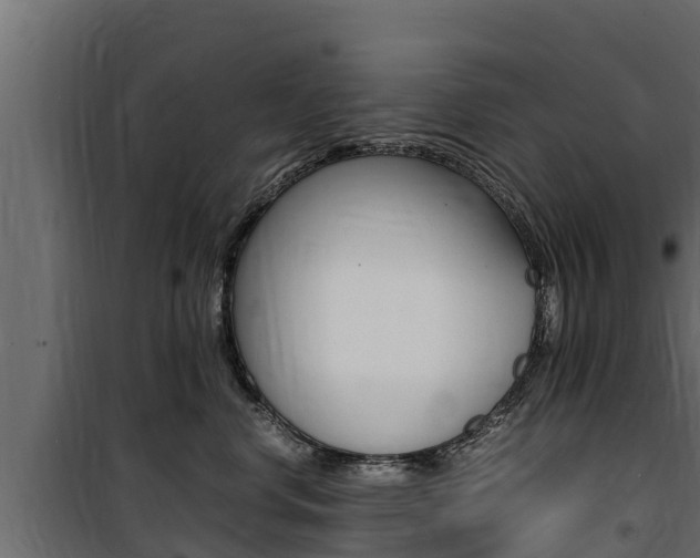 X0000100770668200806190934