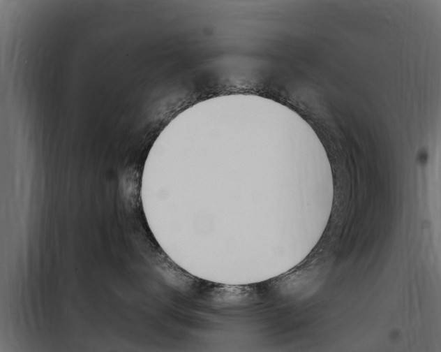 X0000100770672200806190934