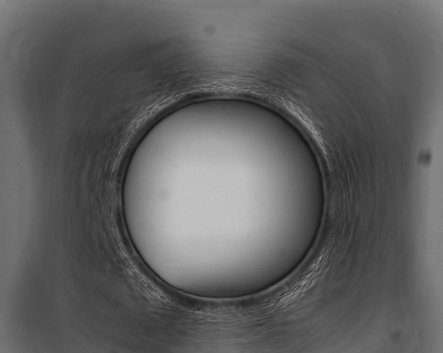X0000100770673200806190933