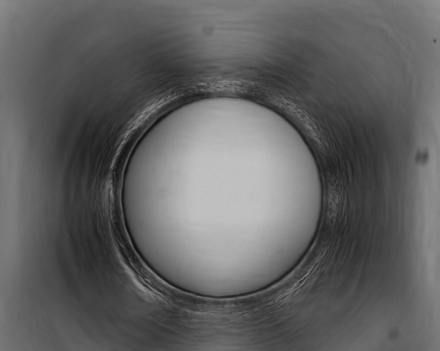 X0000100770674200806190933