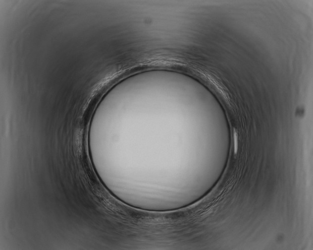 X0000100770675200806190933