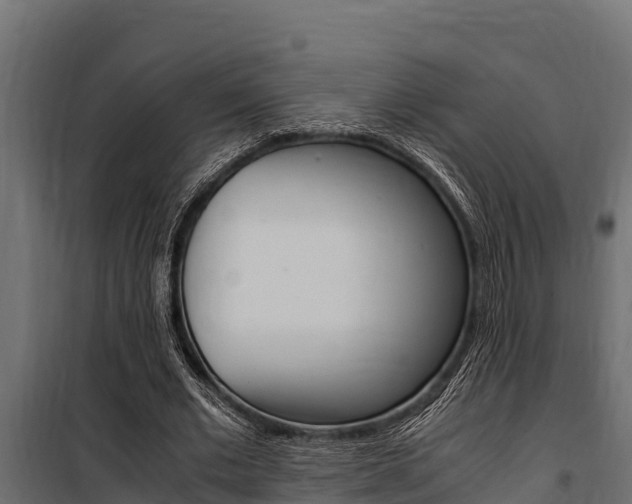 X0000100770677200806190933