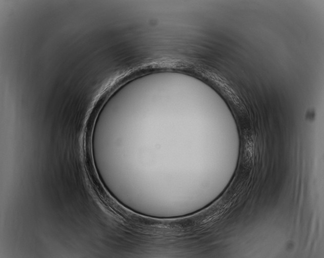 X0000100770678200806190933