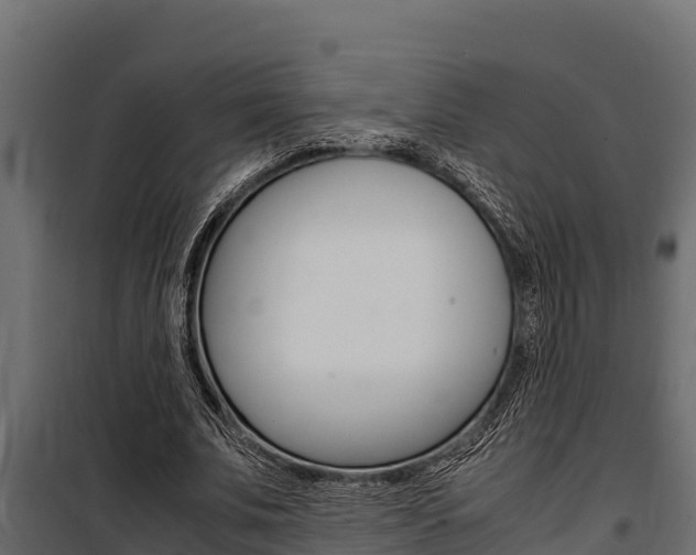 X0000100770679200806190933