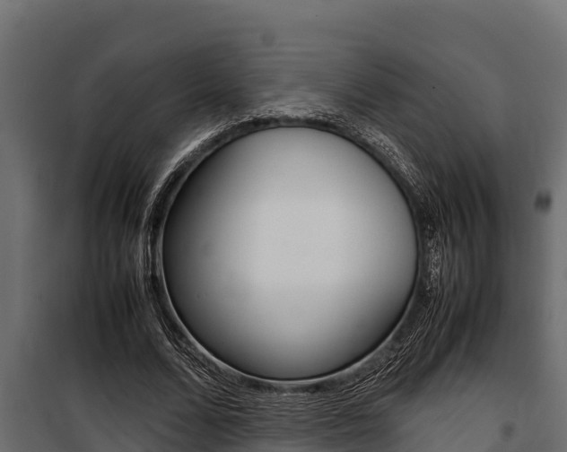 X0000100770680200806190933