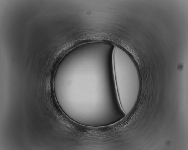 X0000100770681200806190933