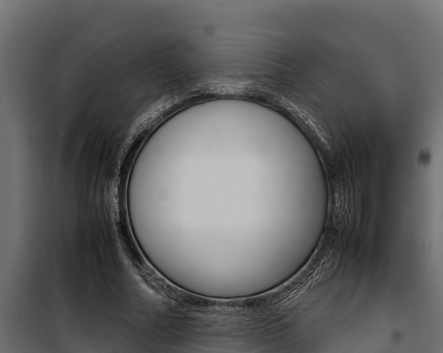 X0000100770682200806190933