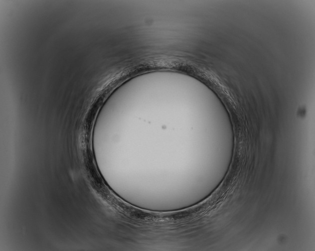 X0000100770683200806190933