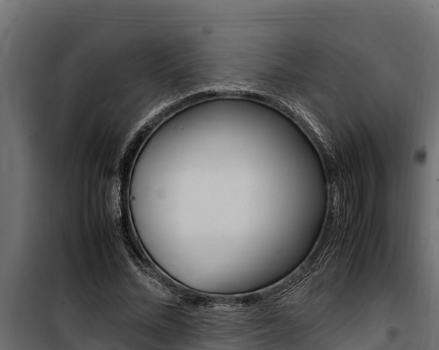 X0000100770684200806190933