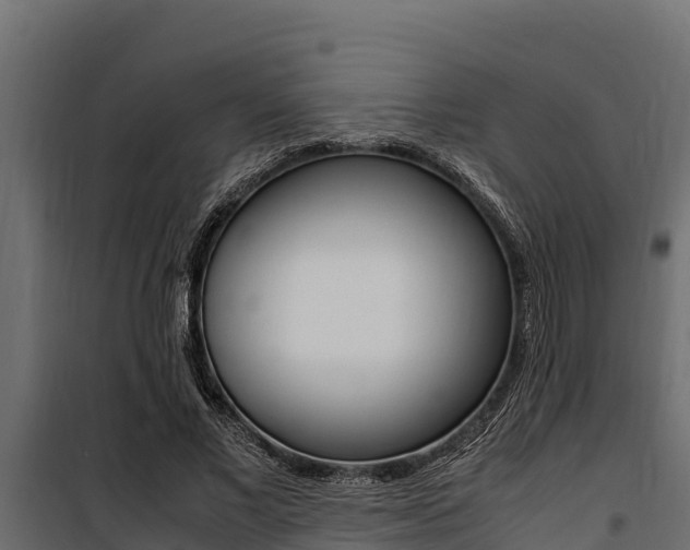 X0000100770685200806190933