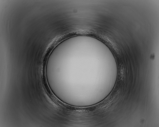 X0000100770686200806190933