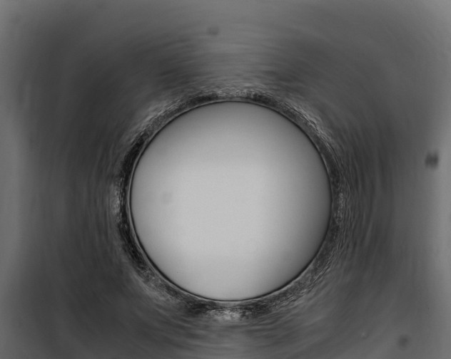 X0000100770687200806190933