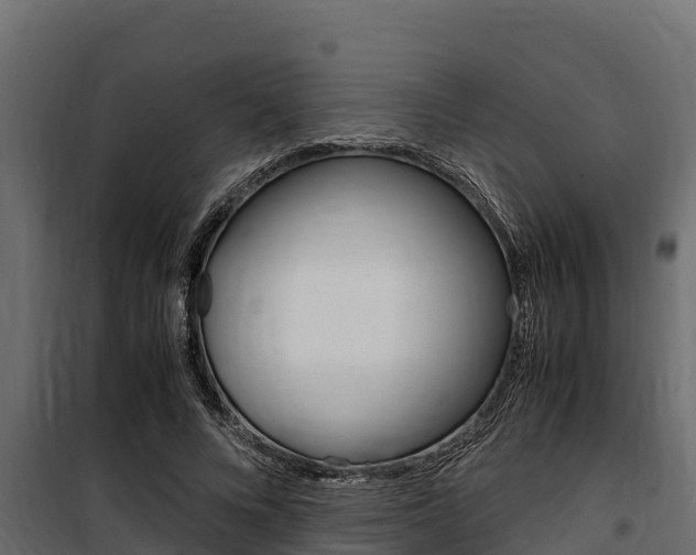 X0000100770688200806190933