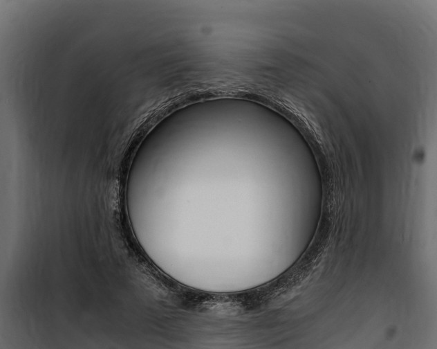 X0000100770689200806190933