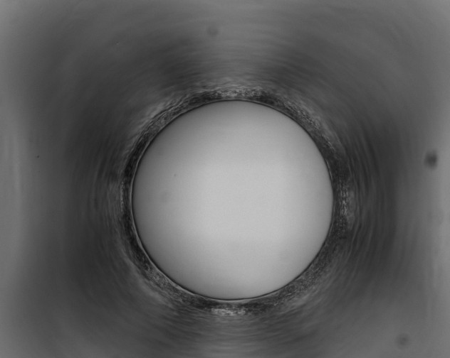 X0000100770690200806190933