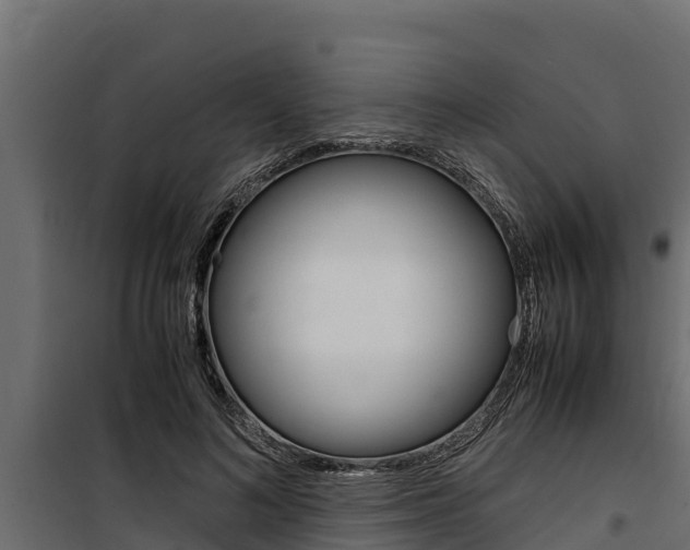 X0000100770692200806190933