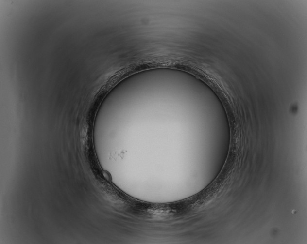 X0000100770693200806190933