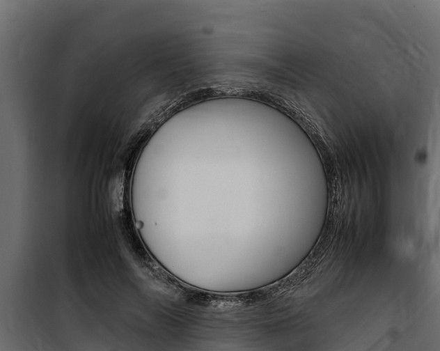 X0000100770694200806190933