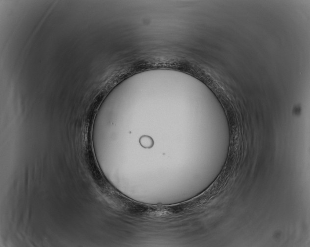 X0000100770695200806190933