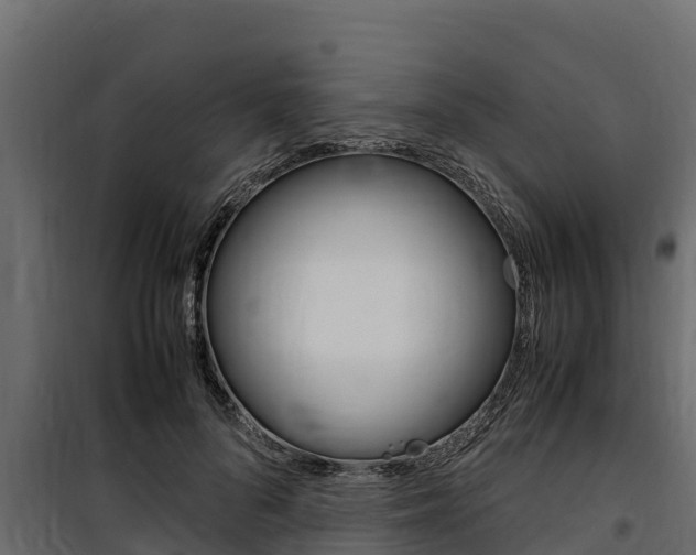 X0000100770696200806190933