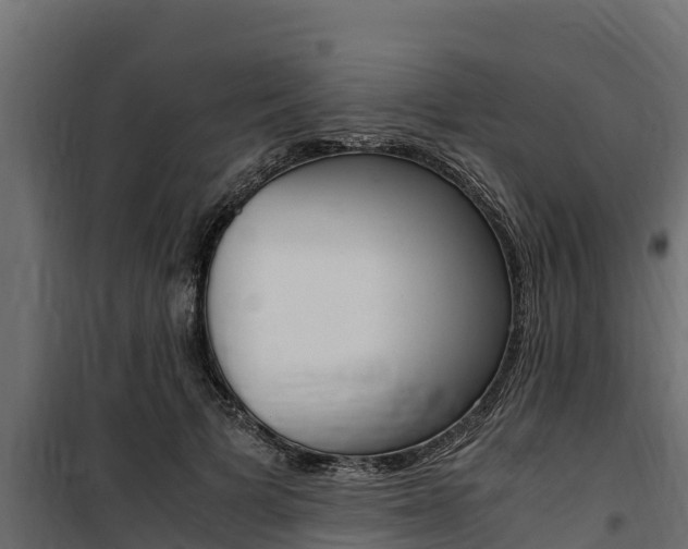 X0000100770697200806190933