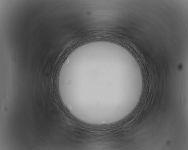 X0000100770701200806190933