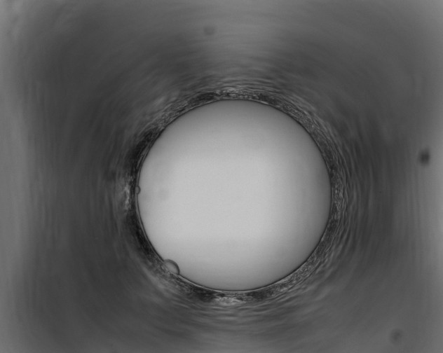 X0000100770703200806190933