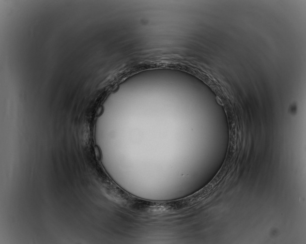 X0000100770704200806190933