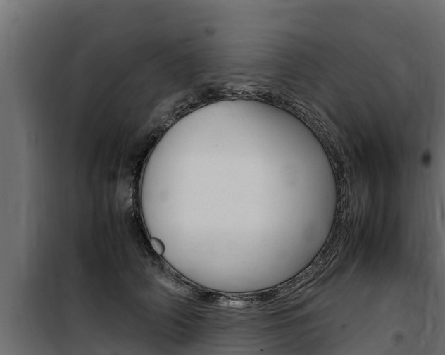X0000100770706200806190933